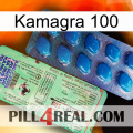 Kamagra 100 new02